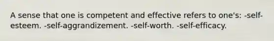 A sense that one is competent and effective refers to one's: -self-esteem. -self-aggrandizement. -self-worth. -self-efficacy.