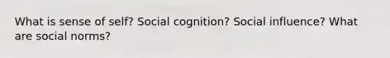 What is sense of self? Social cognition? Social influence? What are social norms?