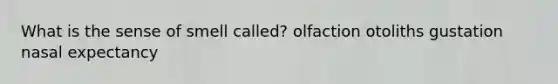 What is the sense of smell called? olfaction otoliths gustation nasal expectancy