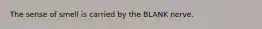 The sense of smell is carried by the BLANK nerve.
