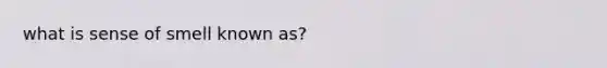 what is sense of smell known as?