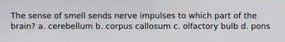 The sense of smell sends nerve impulses to which part of the brain? a. cerebellum b. corpus callosum c. olfactory bulb d. pons