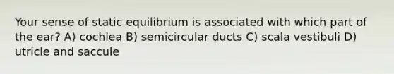 Your sense of static equilibrium is associated with which part of the ear? A) cochlea B) semicircular ducts C) scala vestibuli D) utricle and saccule