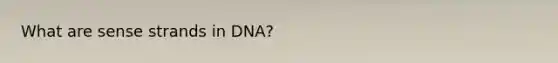 What are sense strands in DNA?