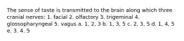 The sense of taste is transmitted to the brain along which three cranial nerves: 1. facial 2. olfactory 3. trigeminal 4. glossopharyngeal 5. vagus a. 1, 2, 3 b. 1, 3, 5 c. 2, 3, 5 d. 1, 4, 5 e. 3. 4. 5