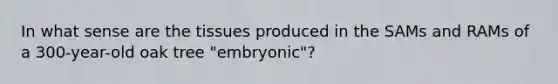 In what sense are the tissues produced in the SAMs and RAMs of a 300-year-old oak tree "embryonic"?