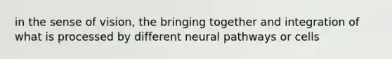 in the sense of vision, the bringing together and integration of what is processed by different neural pathways or cells