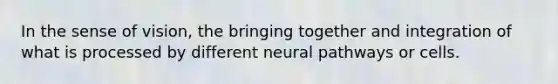 In the sense of vision, the bringing together and integration of what is processed by different neural pathways or cells.