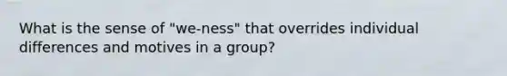 What is the sense of "we-ness" that overrides individual differences and motives in a group?