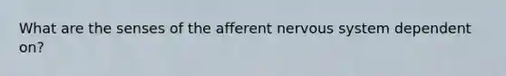 What are the senses of the afferent nervous system dependent on?