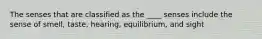 The senses that are classified as the ____ senses include the sense of smell, taste, hearing, equilibrium, and sight