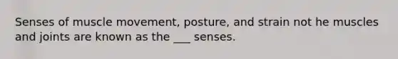 Senses of muscle movement, posture, and strain not he muscles and joints are known as the ___ senses.