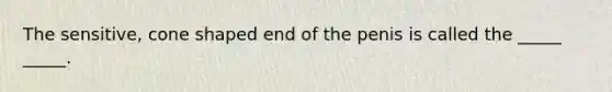 The sensitive, cone shaped end of the penis is called the _____ _____.