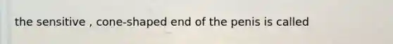 the sensitive , cone-shaped end of the penis is called