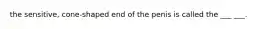 the sensitive, cone-shaped end of the penis is called the ___ ___.
