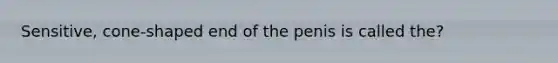 Sensitive, cone-shaped end of the penis is called the?