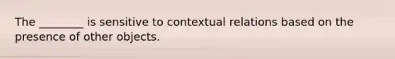 The ________ is sensitive to contextual relations based on the presence of other objects.