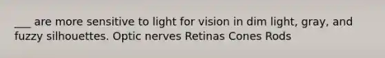 ___ are more sensitive to light for vision in dim light, gray, and fuzzy silhouettes. Optic nerves Retinas Cones Rods