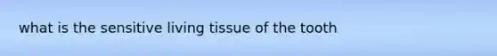 what is the sensitive living tissue of the tooth