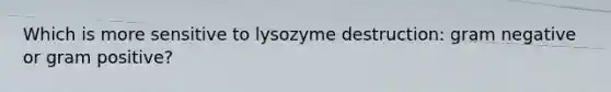 Which is more sensitive to lysozyme destruction: gram negative or gram positive?