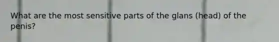 What are the most sensitive parts of the glans (head) of the penis?