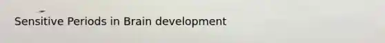 Sensitive Periods in Brain development