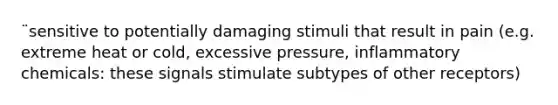 ¨sensitive to potentially damaging stimuli that result in pain (e.g. extreme heat or cold, excessive pressure, inflammatory chemicals: these signals stimulate subtypes of other receptors)