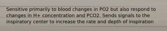 Sensitive primarily to blood changes in PO2 but also respond to changes in H+ concentration and PCO2. Sends signals to the inspiratory center to increase the rate and depth of inspiration