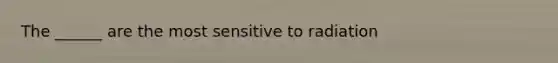 The ______ are the most sensitive to radiation