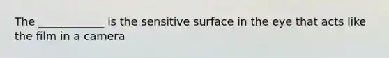 The ____________ is the sensitive surface in the eye that acts like the film in a camera