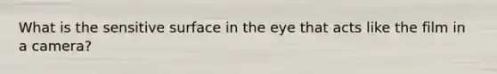 What is the sensitive surface in the eye that acts like the film in a camera?