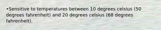 •Sensitive to temperatures between 10 degrees celsius (50 degrees fahrenheit) and 20 degrees celsius (68 degrees fahrenheit).