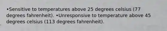 •Sensitive to temperatures above 25 degrees celsius (77 degrees fahrenheit). •Unresponsive to temperature above 45 degrees celsius (113 degrees fahrenheit).