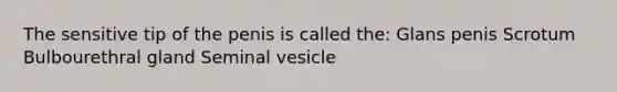 The sensitive tip of the penis is called the: Glans penis Scrotum Bulbourethral gland Seminal vesicle