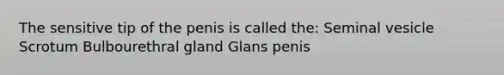 The sensitive tip of the penis is called the: Seminal vesicle Scrotum Bulbourethral gland Glans penis