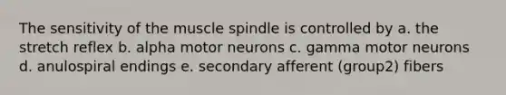 The sensitivity of the muscle spindle is controlled by a. the stretch reflex b. alpha motor neurons c. gamma motor neurons d. anulospiral endings e. secondary afferent (group2) fibers