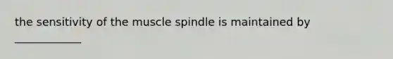 the sensitivity of the muscle spindle is maintained by ____________