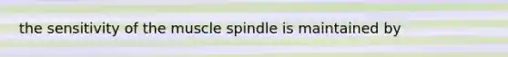 the sensitivity of the muscle spindle is maintained by