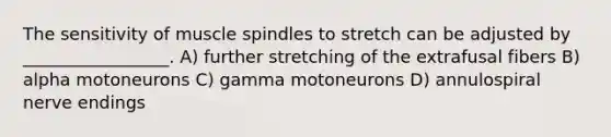 The sensitivity of muscle spindles to stretch can be adjusted by _________________. A) further stretching of the extrafusal fibers B) alpha motoneurons C) gamma motoneurons D) annulospiral nerve endings