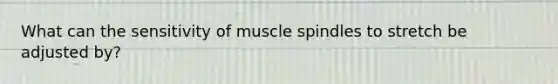 What can the sensitivity of muscle spindles to stretch be adjusted by?