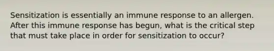 Sensitization is essentially an immune response to an allergen. After this immune response has begun, what is the critical step that must take place in order for sensitization to occur?