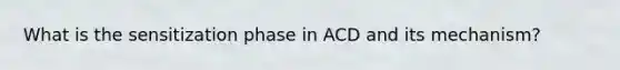 What is the sensitization phase in ACD and its mechanism?