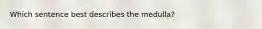 Which sentence best describes the medulla?
