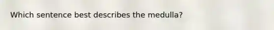 Which sentence best describes the medulla?