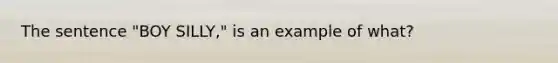 The sentence "BOY SILLY," is an example of what?