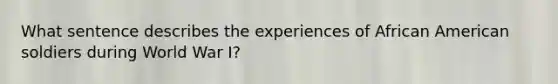 What sentence describes the experiences of African American soldiers during World War I?