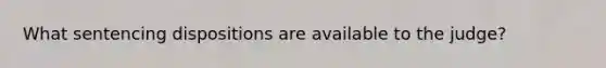 What sentencing dispositions are available to the judge?