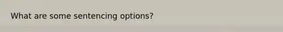 What are some sentencing options?