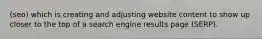 (seo) which is creating and adjusting website content to show up closer to the top of a search engine results page (SERP).