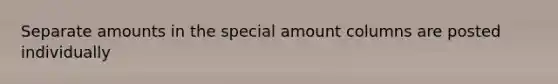 Separate amounts in the special amount columns are posted individually